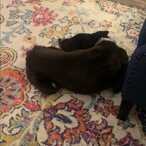 Meet your Posher, Nathaniel